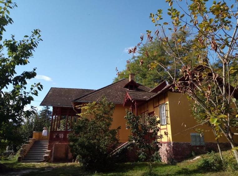 Villa Kundalini Balatonalmádi Esterno foto